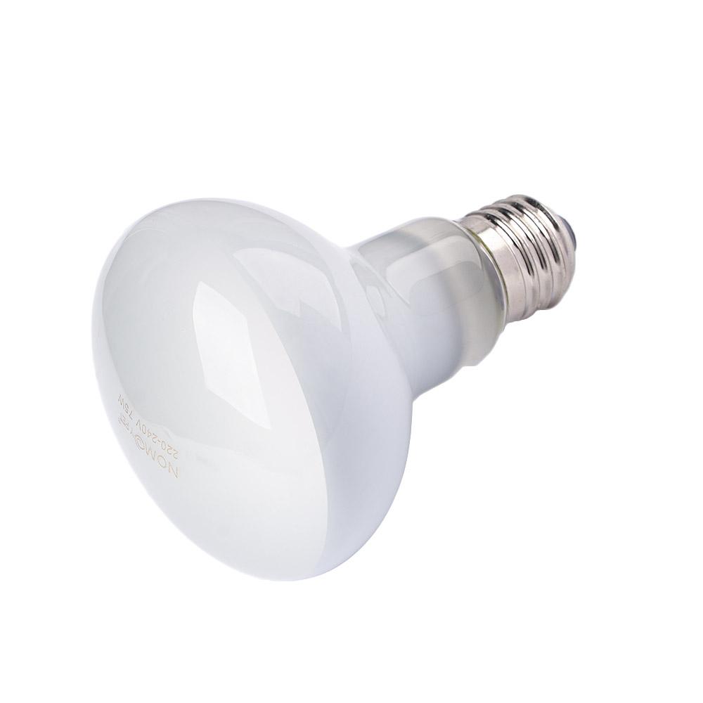Basking Bulb Halogen - เครื่องควบคุมอุณหภูมิสำหรับสัตว์เลื้อยคลาน หลอดฮาโลเจน แสง UVA สำหรับให้ความอบอุ่น