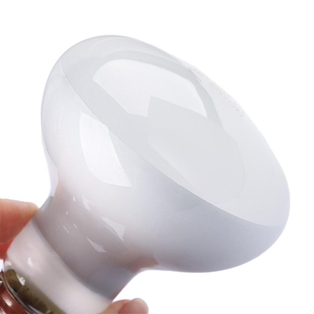 Basking Bulb Halogen - เครื่องควบคุมอุณหภูมิเต่า หลอดฮาโลเจน ไฟอุ่นตัว ไฟ UVA สำหรับสัตว์เลื้อยคลาน