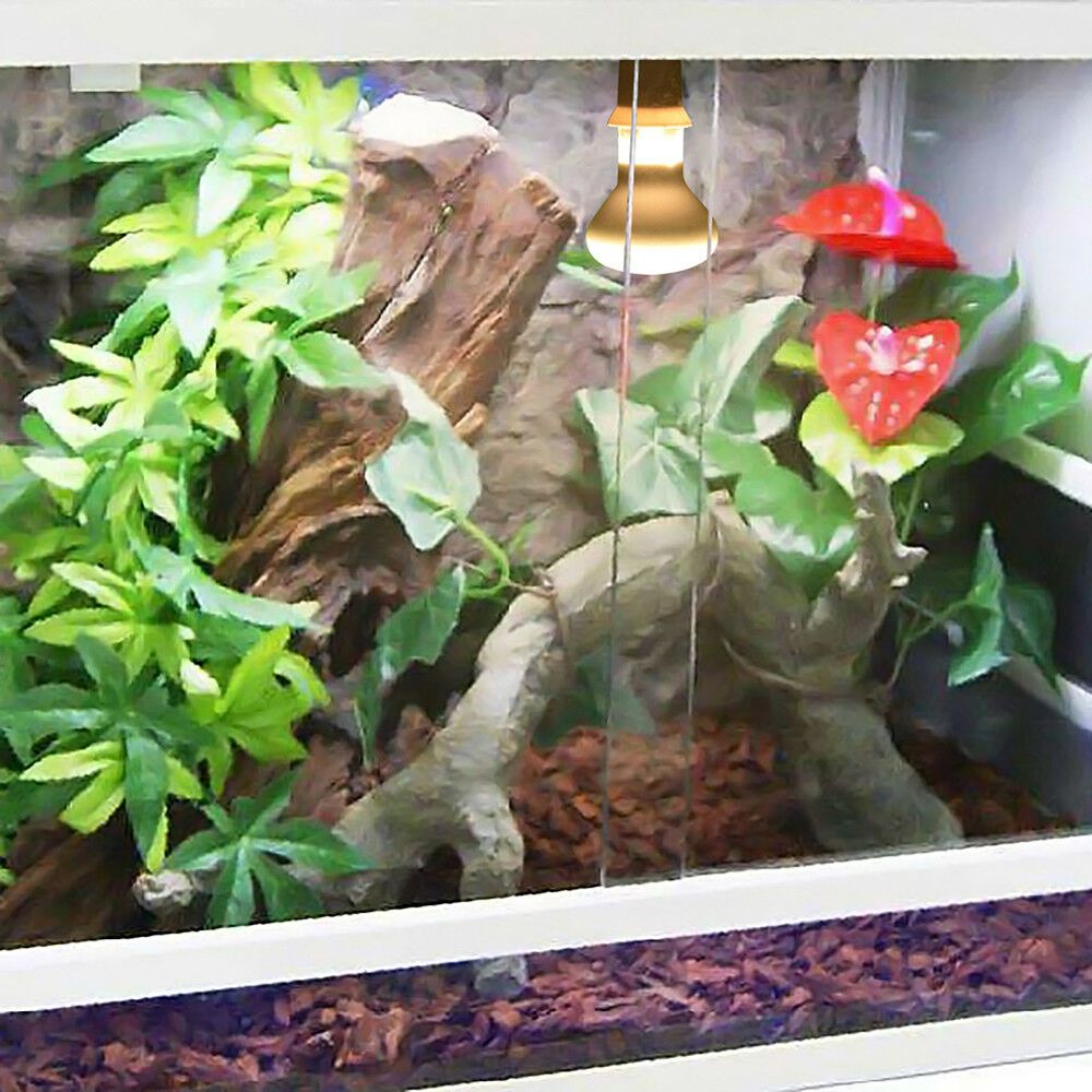 Basking Bulb Halogen - เครื่องควบคุมอุณหภูมิเต่า หลอดฮาโลเจน แสง UVA สำหรับสัตว์เลื้อยคลาน หลอดไฟให้ความอบอุ่น