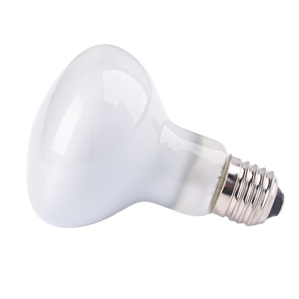 หลอดไฟฮีตเตอร์สำหรับสัตว์เลื้อ - Basking Bulb Halogen บทวิจารณ์และราคา