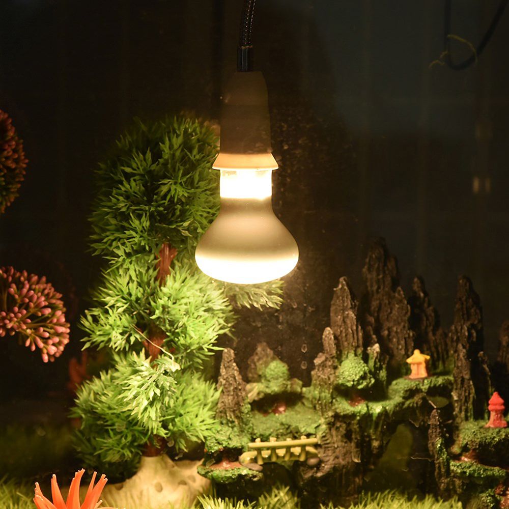 หลอดฮาโลเจนสำหรับสัตว์ครึ่งบกค - Basking Bulb Halogen บทวิจารณ์และราคา