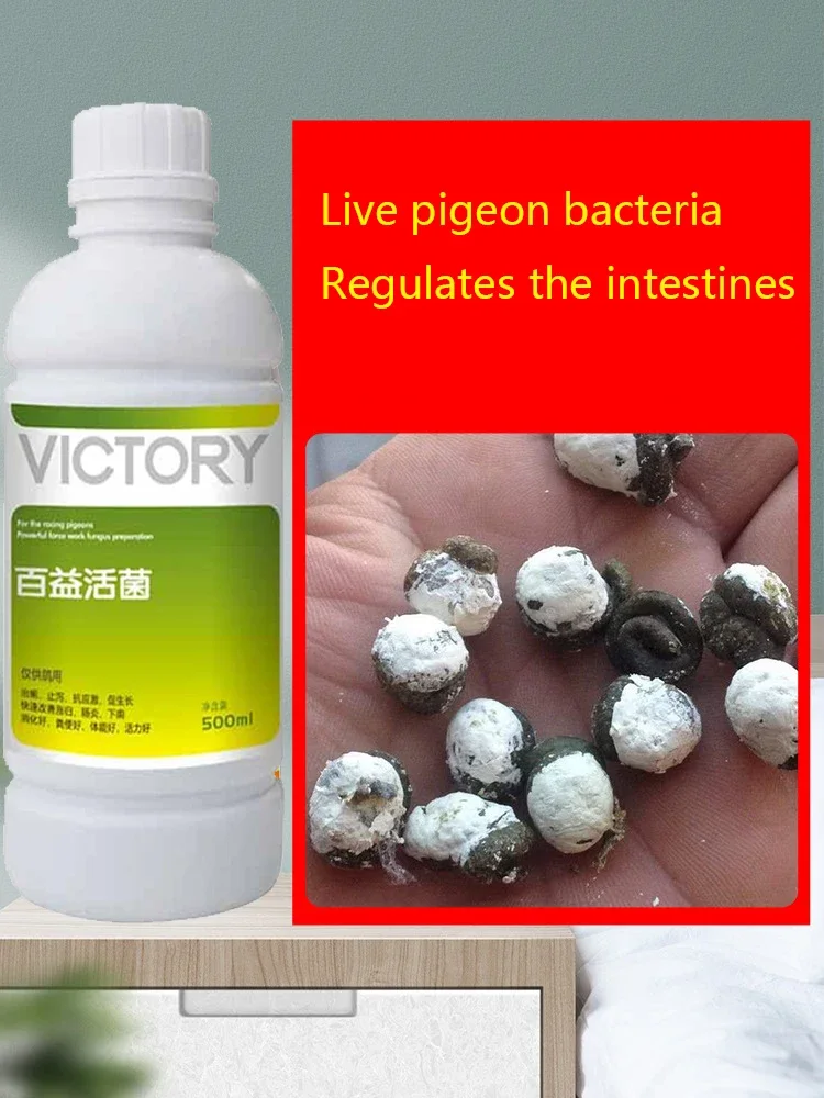 โปรไบโอติกส์สำหรับนกพิราบแข่ง  - Vitamin D3 Reptile บทวิจารณ์และราคา