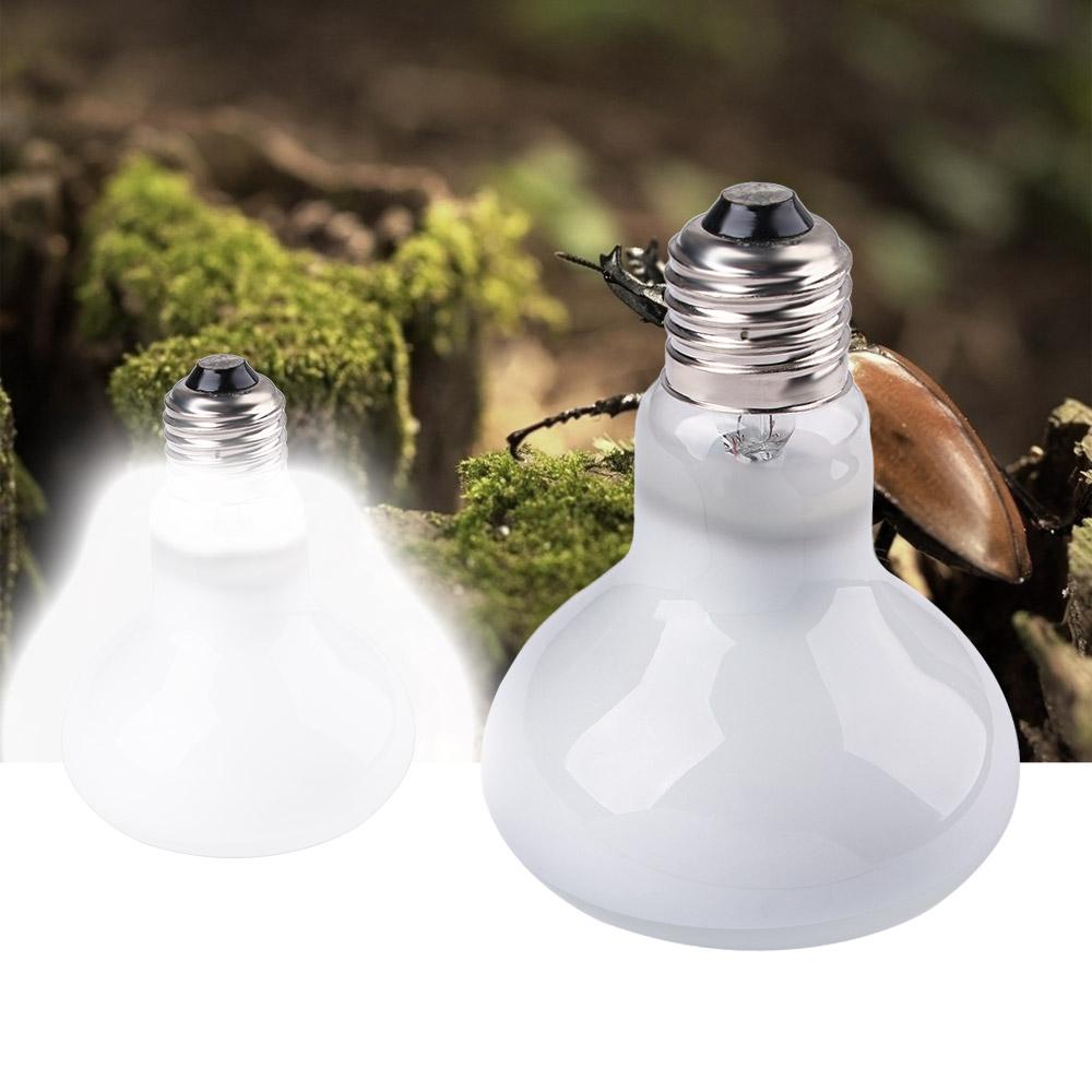 หลอดไฟให้ความร้อนสำหรับเต่า หล - Basking Bulb Halogen บทวิจารณ์และราคา