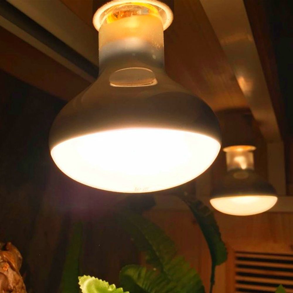 หลอดไฟควบคุมอุณหภูมิเต่า หลอดค - Basking Bulb Halogen บทวิจารณ์และราคา