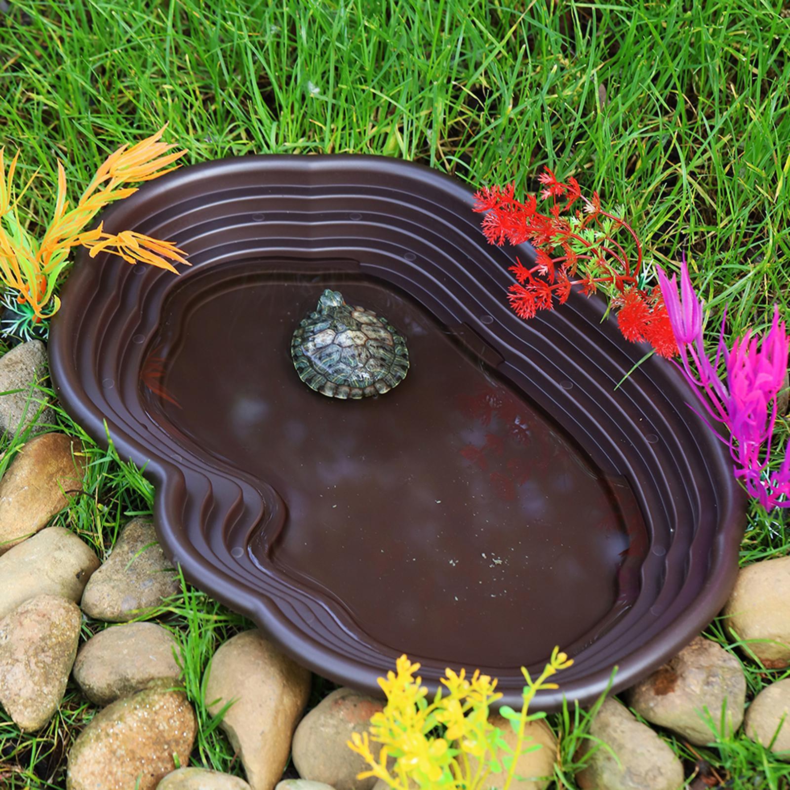 จานอาบน้ำสัตว์เลื้อยคลาน, ที่ป - Water Dish Reptile บทวิจารณ์และราคา