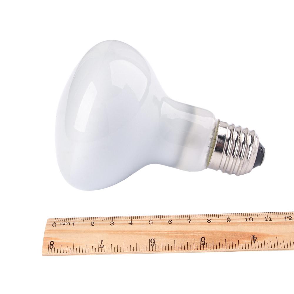 เครื่องควบคุมอุณหภูมิเต่า หลอด - Basking Bulb Halogen บทวิจารณ์และราคา