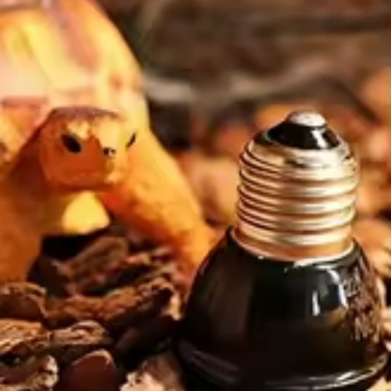 หลอดอินฟราเรดเซรามิกสีดำขนาดเล - Ceramic Heat Emitter บทวิจารณ์และราคา