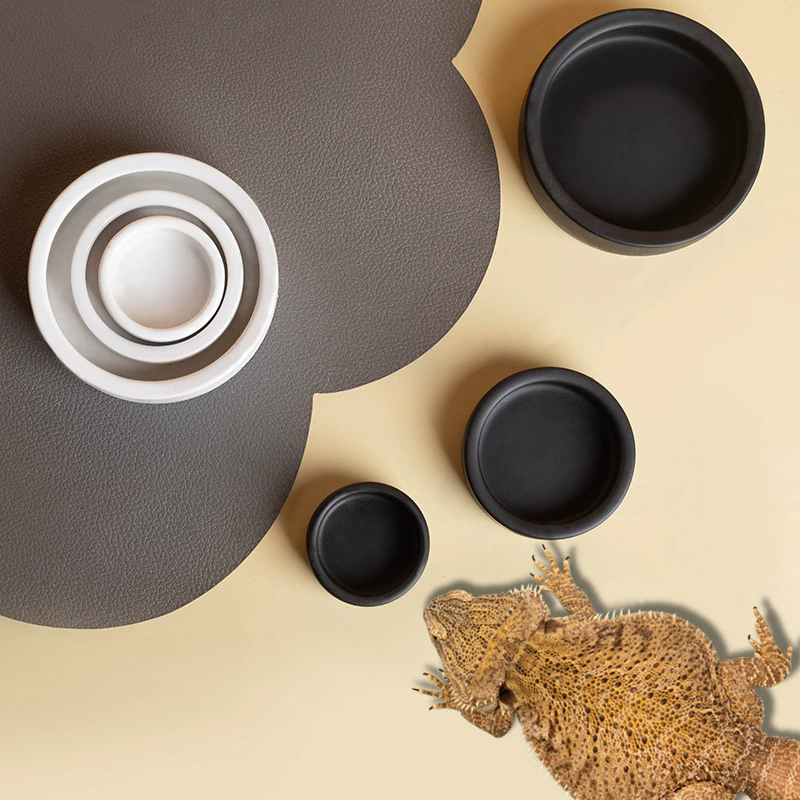 ร้อนแรง! ชามอาหารสัตว์เลื้อยคล - Water Dish Reptile บทวิจารณ์และราคา