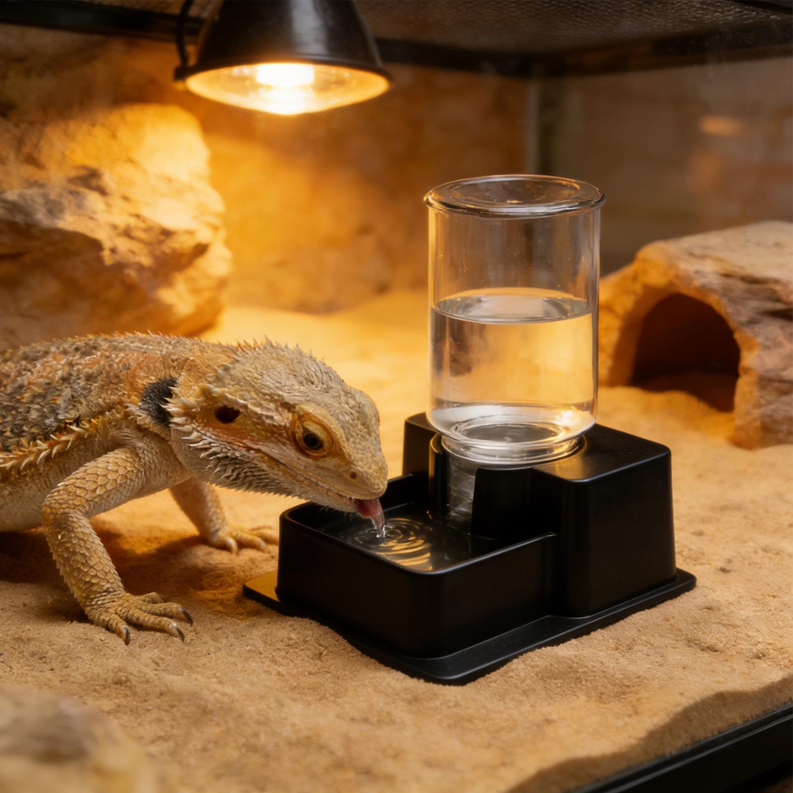 เครื่องให้น้ำอัตโนมัติสำหรับสั - Water Dish Reptile บทวิจารณ์และราคา