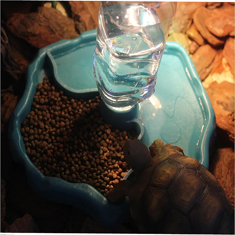 เครื่องให้อาหารสัตว์เลื้อยคลาน - Water Dish Reptile บทวิจารณ์และราคา