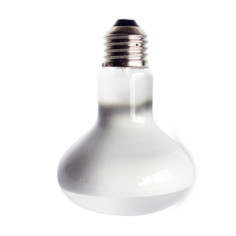 เครื่องควบคุมอุณหภูมิเต่า หลอด - Basking Bulb Halogen บทวิจารณ์และราคา