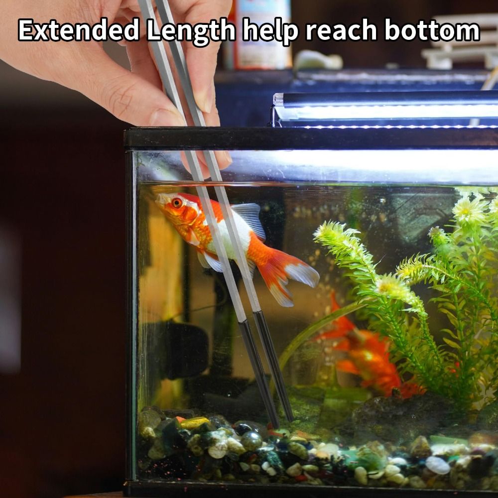 สแตนเลส Aquarium Feeding แหนบห - Feeding Tong Stainless บทวิจารณ์และราคา