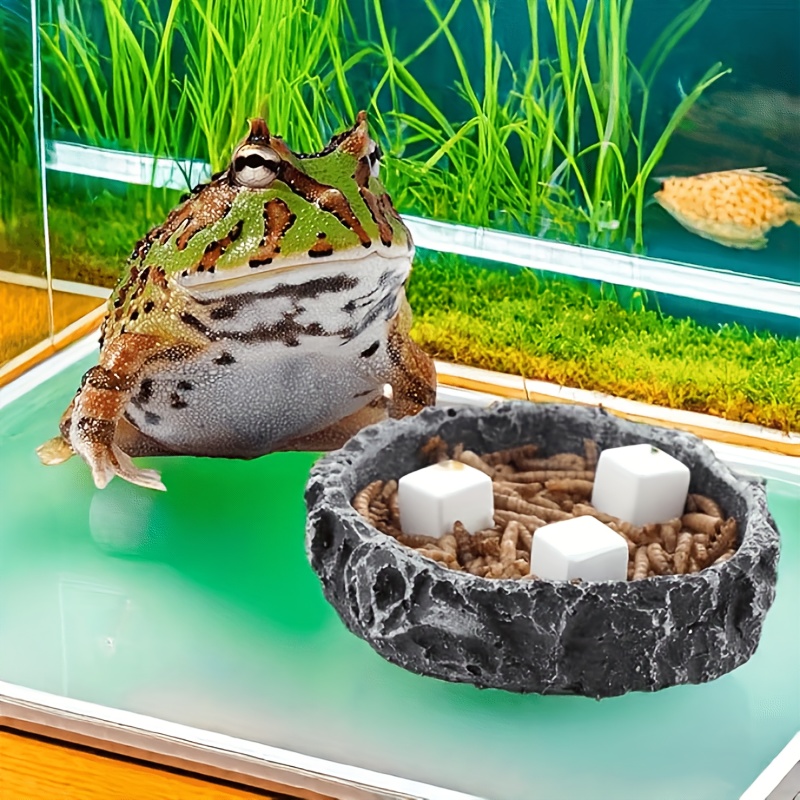 บล็อกแคลเซียมสำหรับตู้ปลา 6 ชิ - Calcium Powder Reptile บทวิจารณ์และราคา