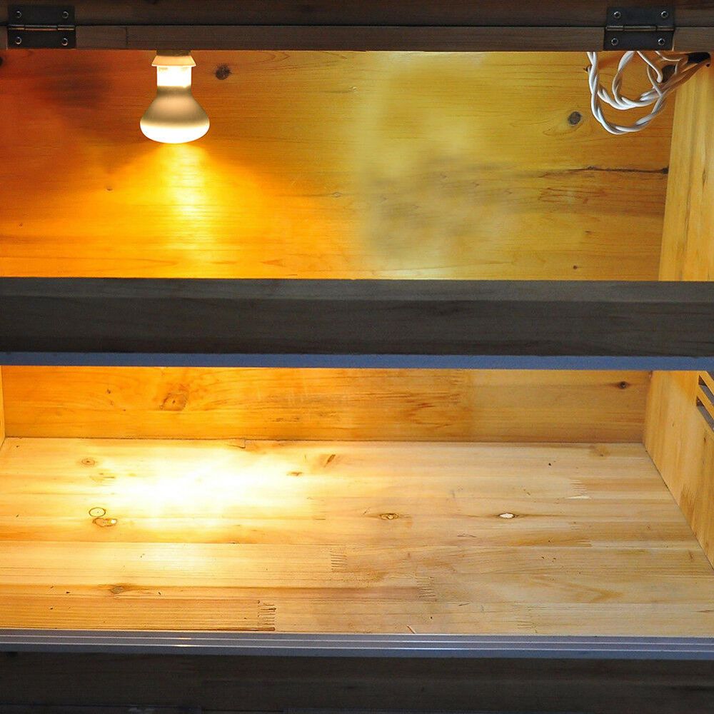 เครื่องควบคุมอุณหภูมิสำหรับสัต - Basking Bulb Halogen บทวิจารณ์และราคา
