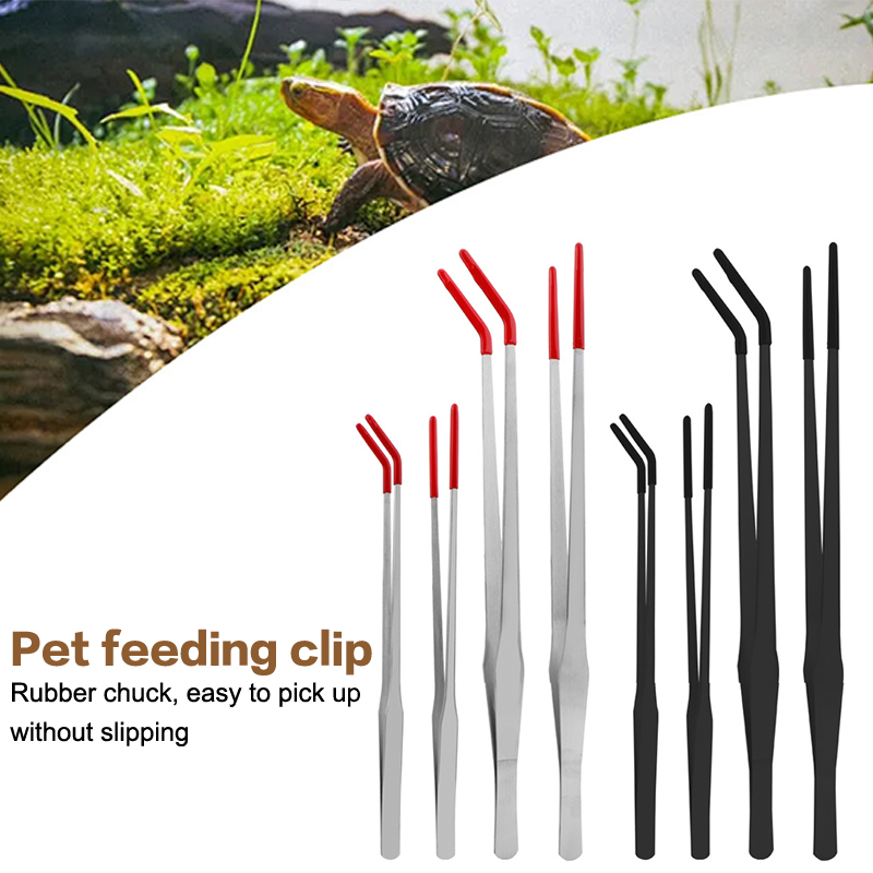 สแตนเลสสตีลสัตว์เลื้อยคลาน Fee - Feeding Tong Stainless บทวิจารณ์และราคา