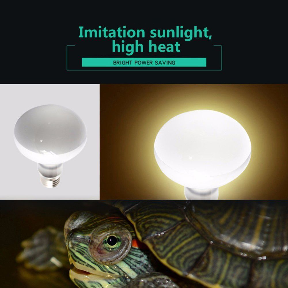 เครื่องควบคุมอุณหภูมิหลอดไฟสำห - Basking Bulb Halogen บทวิจารณ์และราคา