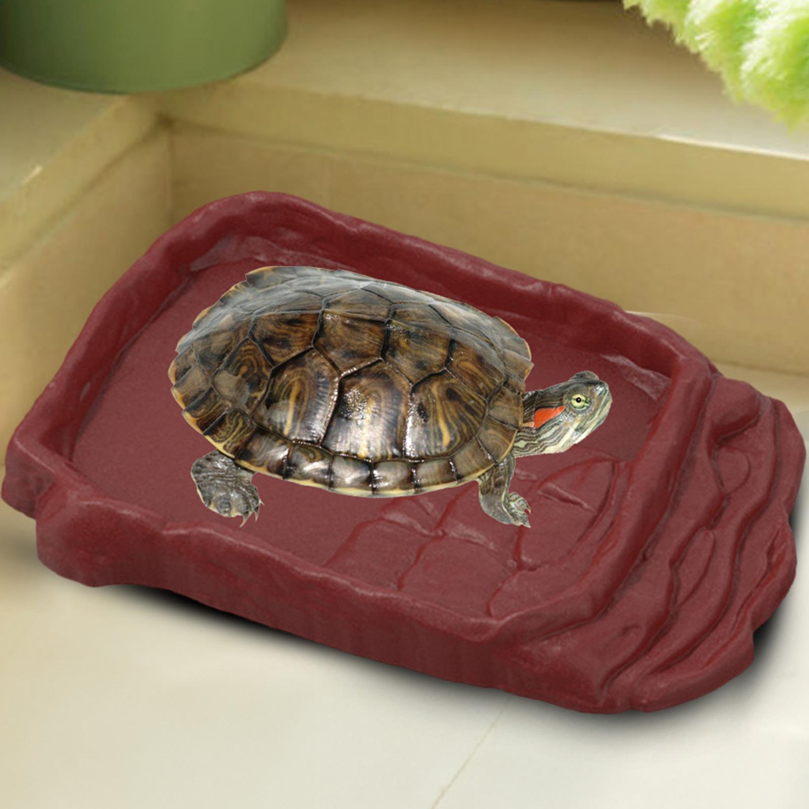 อ่างอาบน้ำเต่า ถาดน้ำ บันไดกัน - Water Dish Reptile บทวิจารณ์และราคา